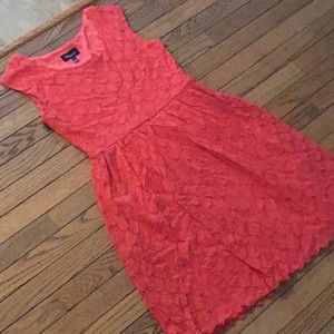 Pink knee length lace dress